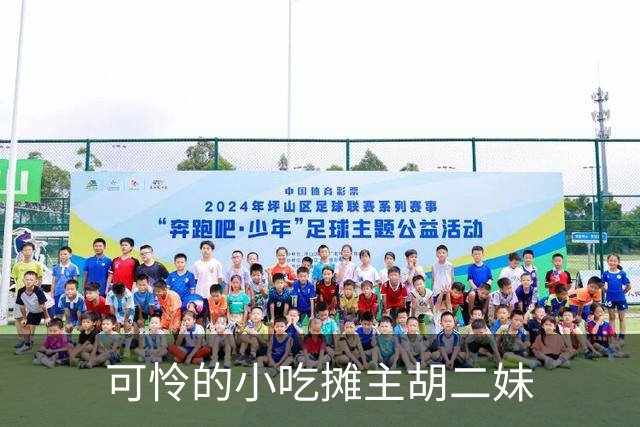 可怜的小吃摊主胡二妹